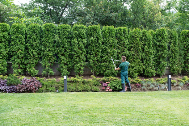 Best Organic Lawn Care Solutions  in Brownville, NJ